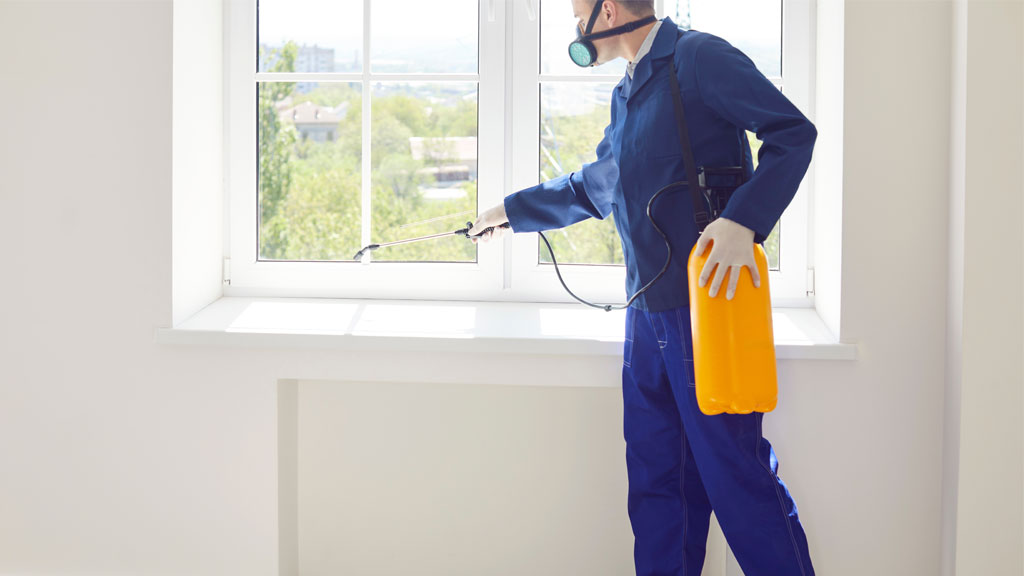 Technicien désinsectisation discutant avec habitante dans couloir immeuble marseillais